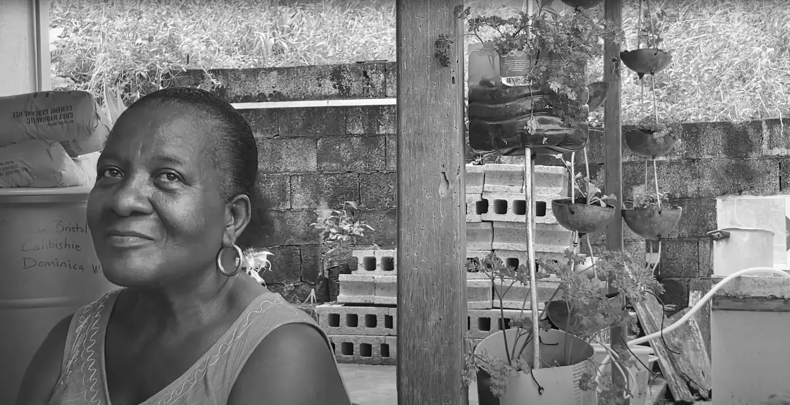 Extrait de : Surviving Storms, le projet CCC, « Judith Peters | Projet sur l’histoire orale des femmes de la Dominique | Calibishie », YouTube, juillet 2022, https://youtu.be/wthObbgghKE